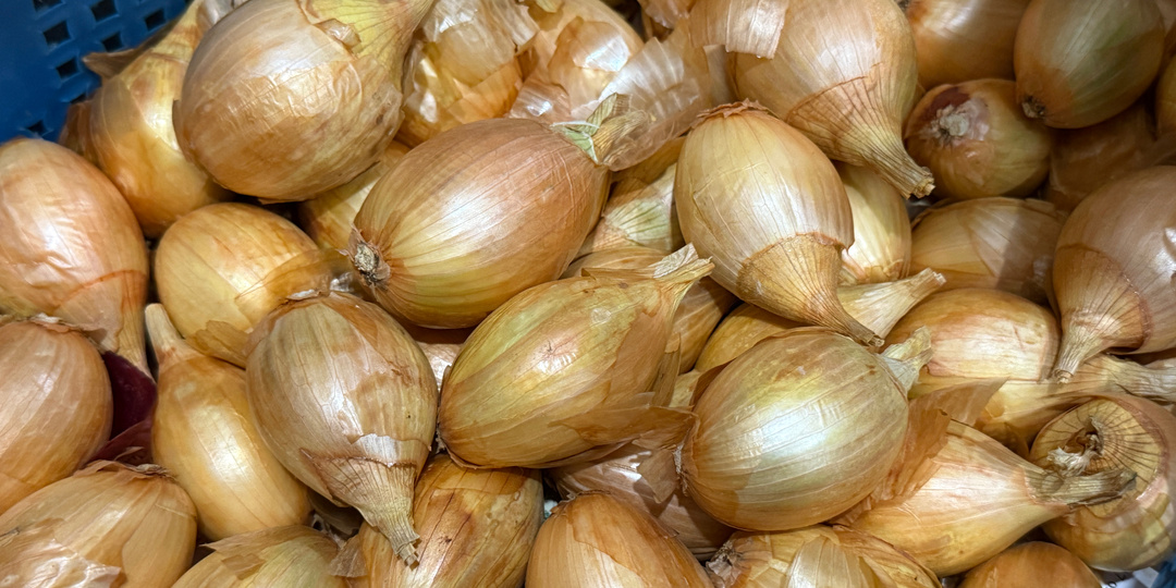 Забываю про ГНИЛОЙ ЛУК зимой после одного простого приема, лук хранится до лета и мух нет