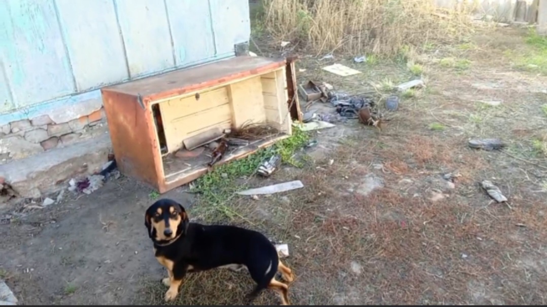 Жизнь Темы в холодильнике выглядела так💔