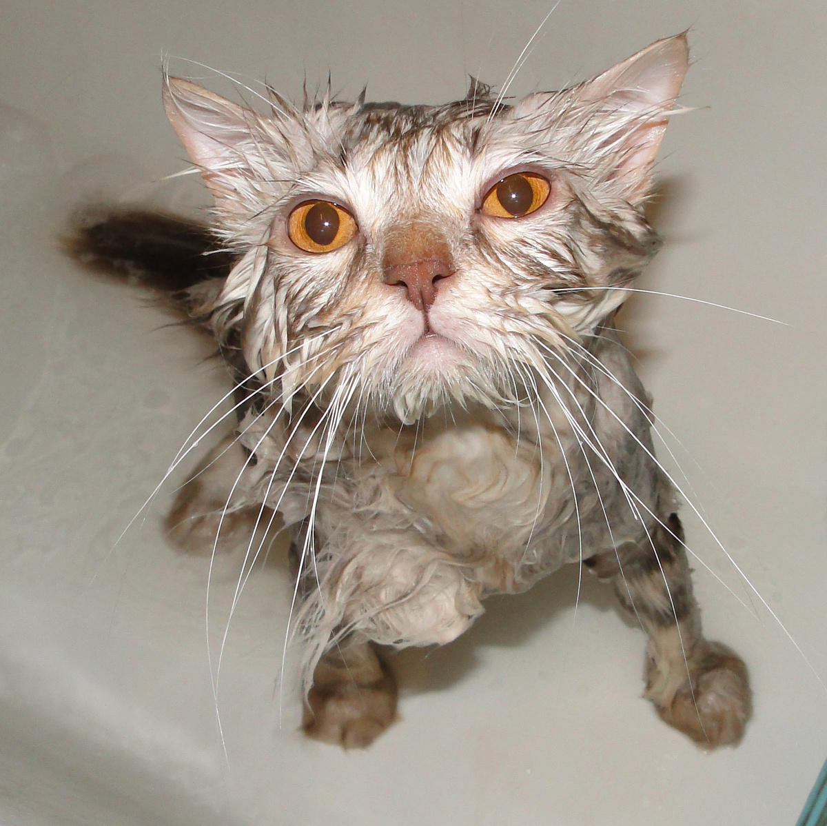 Фото из личного архива