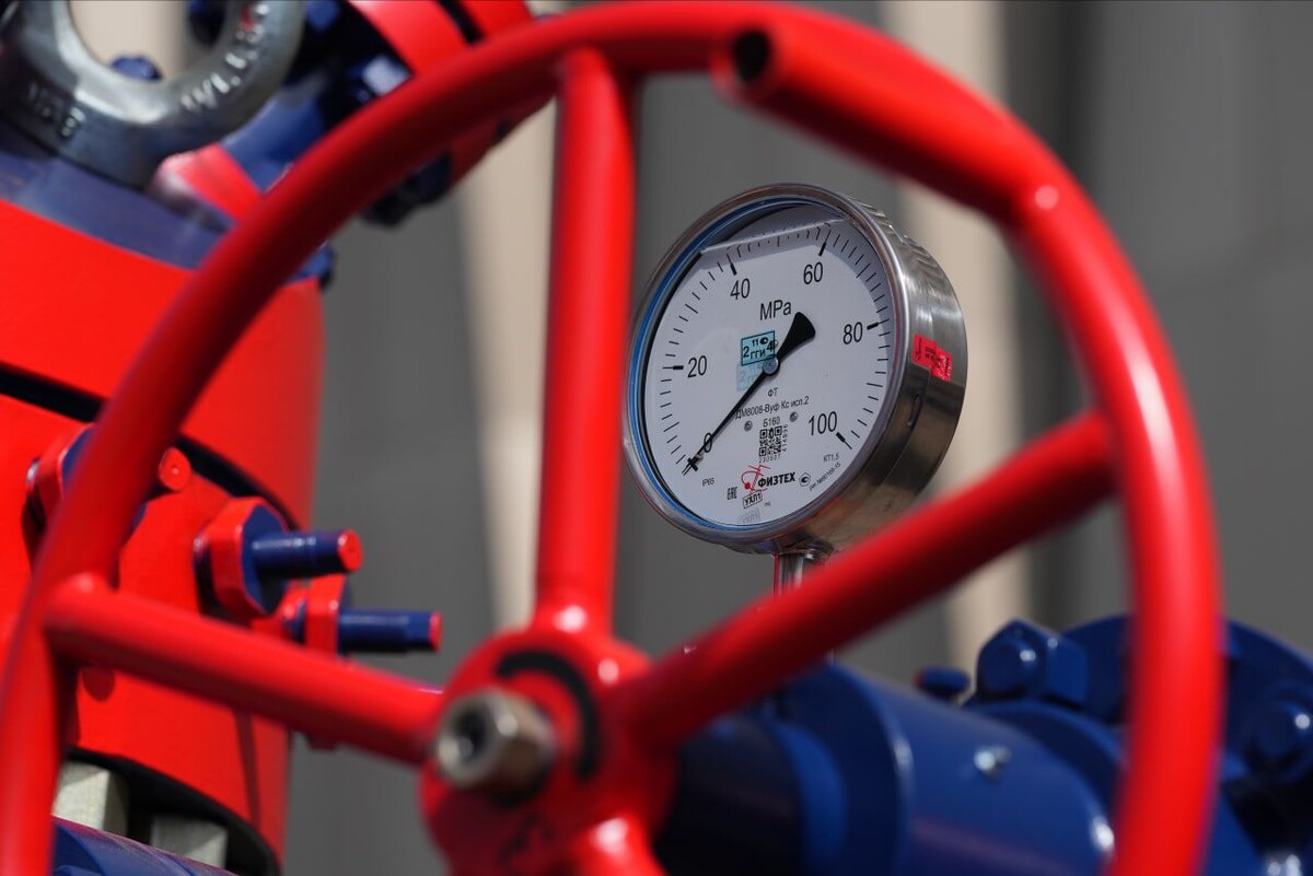     / Источник: © ИЗВЕСТИЯ/Дмитрий Коротаев