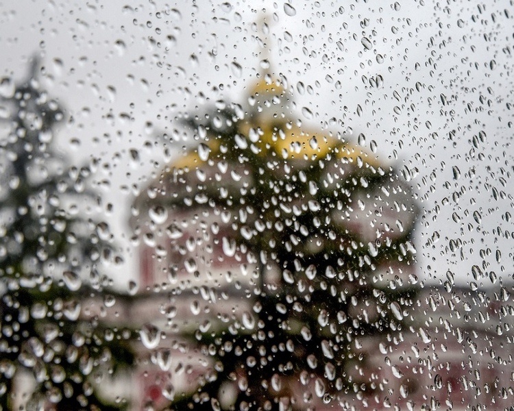     В Курской области 26 октября днем местами ожидаются небольшие дожди