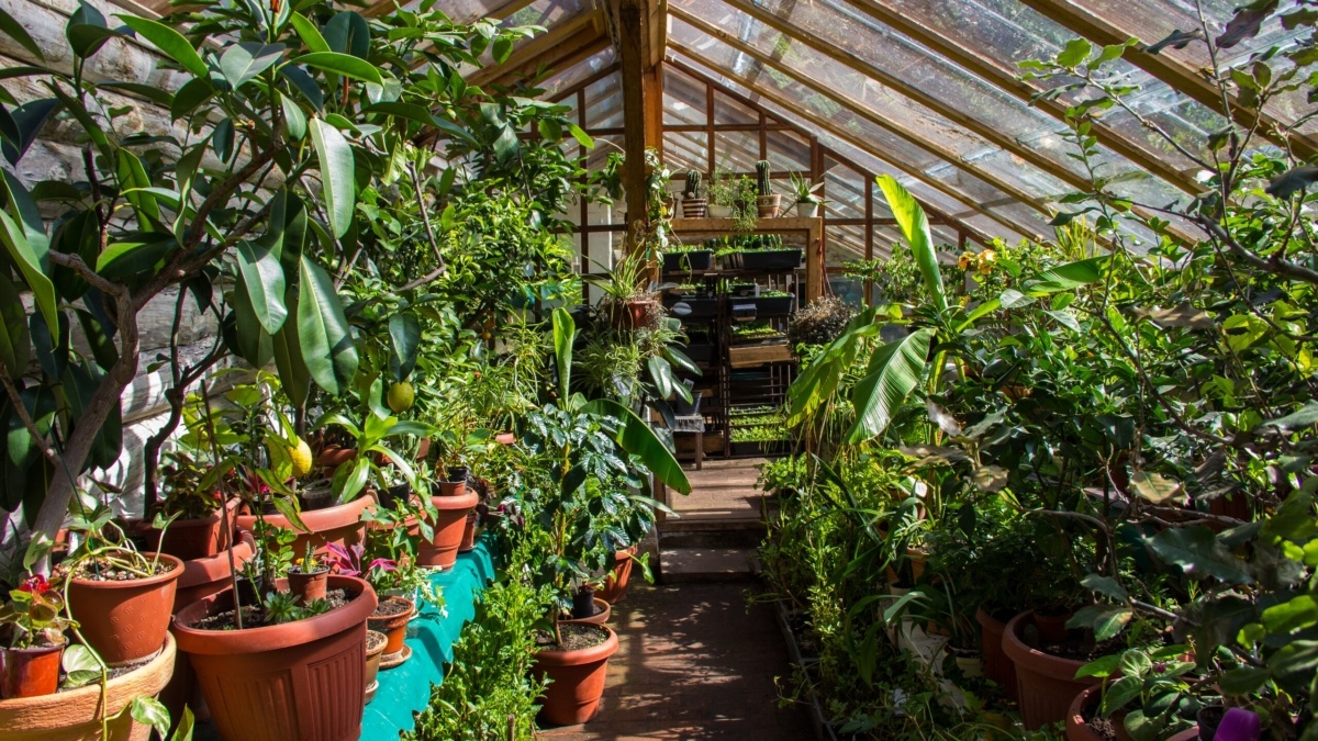 Фото: ИА SM-News📷
