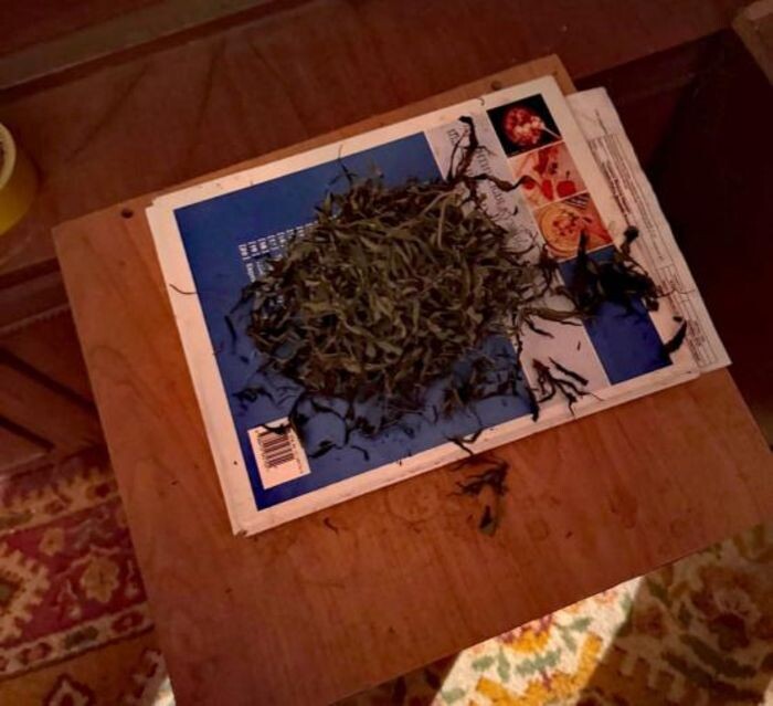 Иллюстрация: Пресс-служба МВД