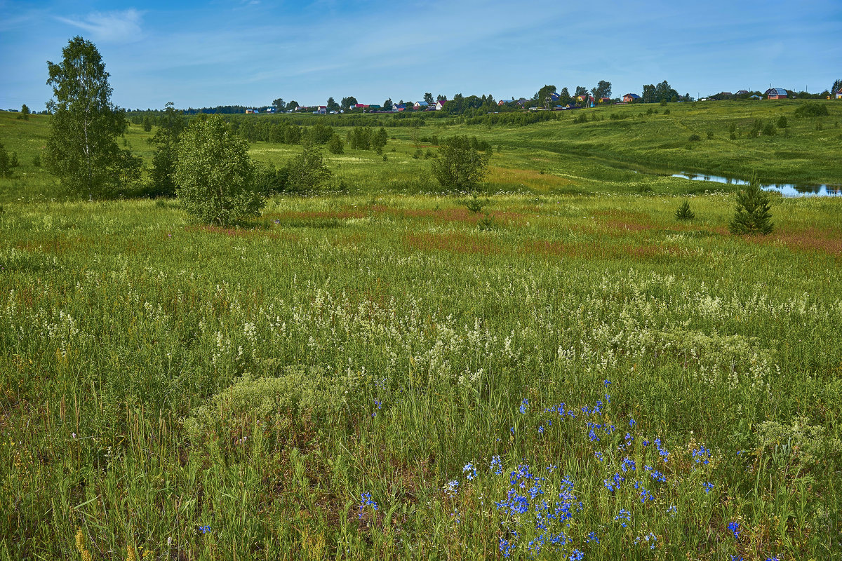 НАШИ ПРОСТОРЫ...