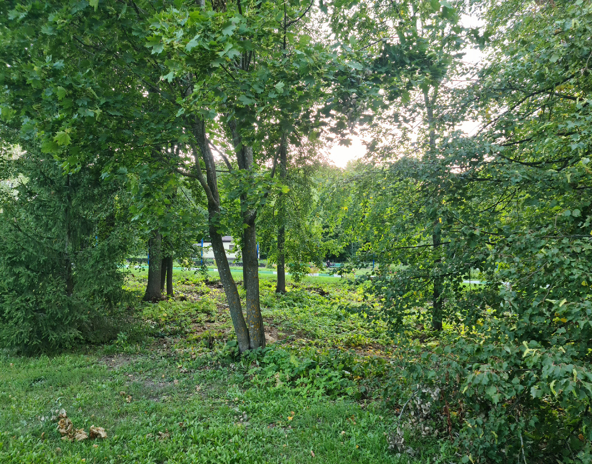 Ждем только лишь маленьких дождей, зиму без метелей, но с хорошим и хрустящим, блестящим и переливающимся снегом, со спокойной атмосферой и без холодных ветров