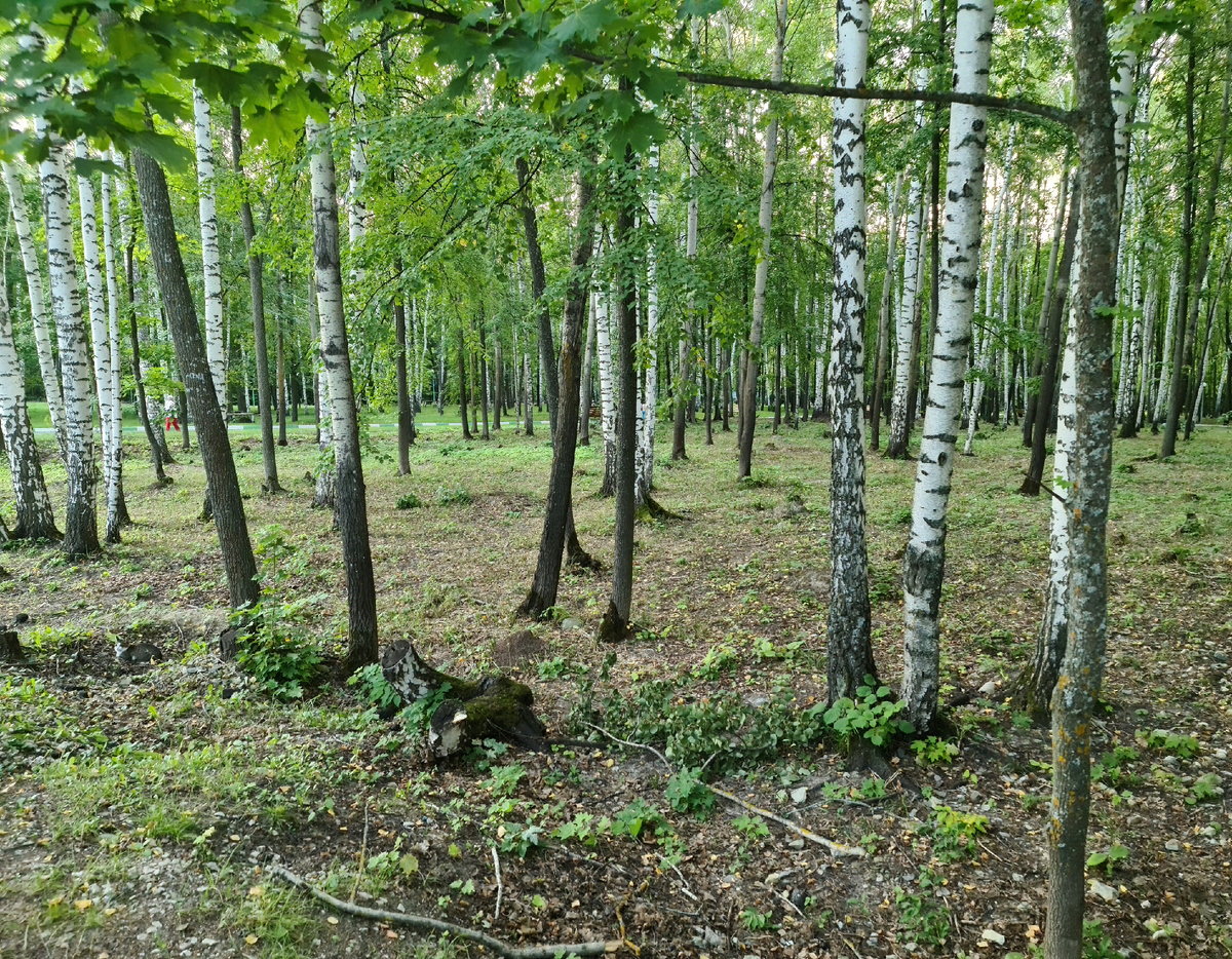 Непогода бывает очень далеко от нас, когда, что-то и кто-то делает не так