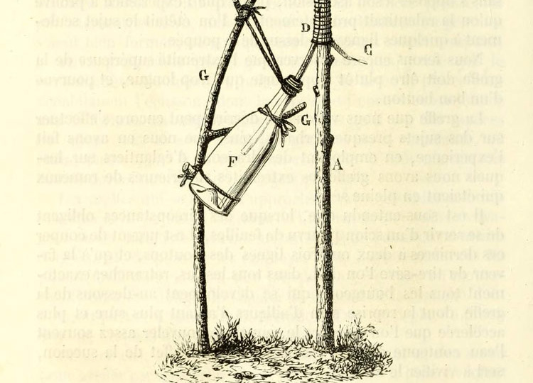 Прививка барона де Чуди