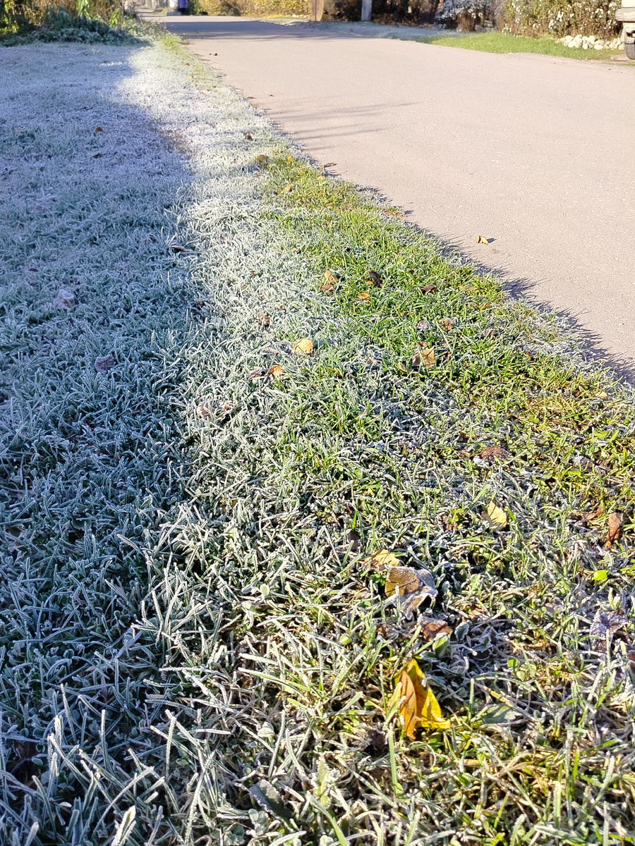 На прошлой неделе морозные ночи были и ясные дни