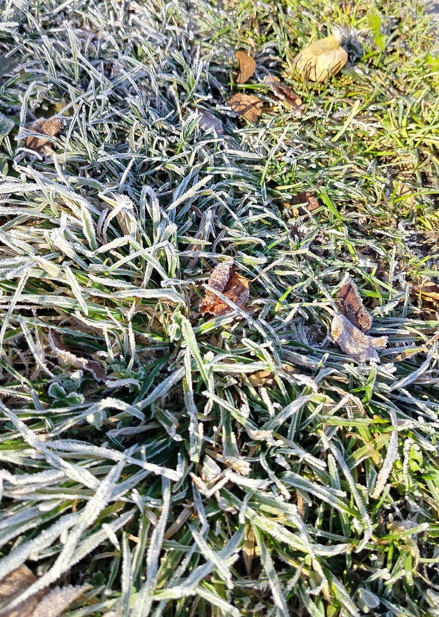 Хрустальная травка