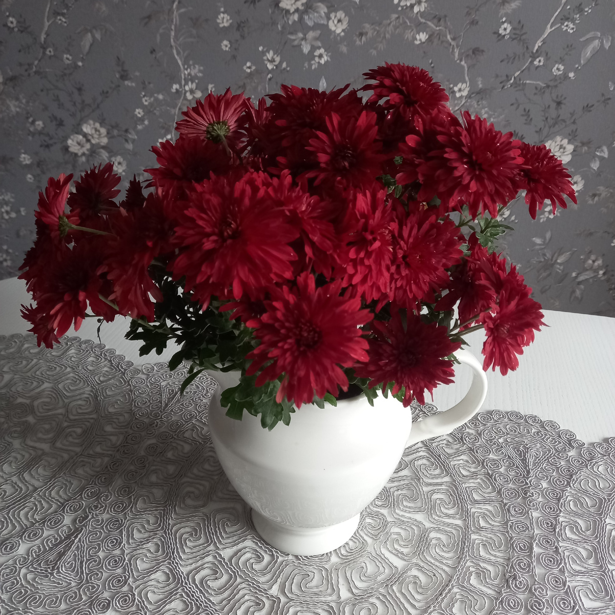 Хризантема мультифлора