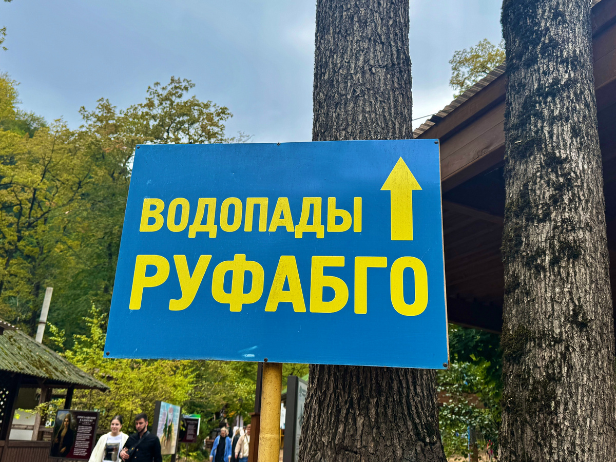 Вперёд наверх! Фото автора.