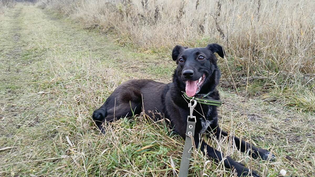Элис около 7-8 месяцев