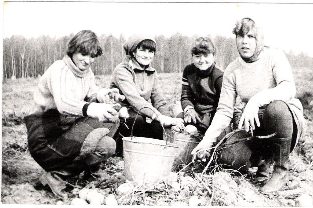 фото из яндекс каотинки