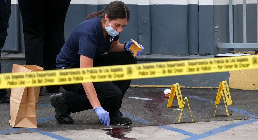    David Crane/ZUMAPRESS.com/Global Look Press