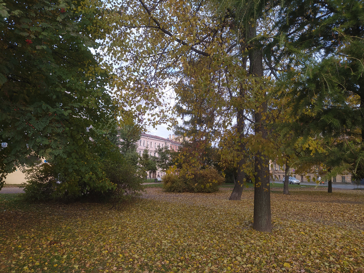 Поймала кадр еще красивой осени. Фото автора. Листай галерею