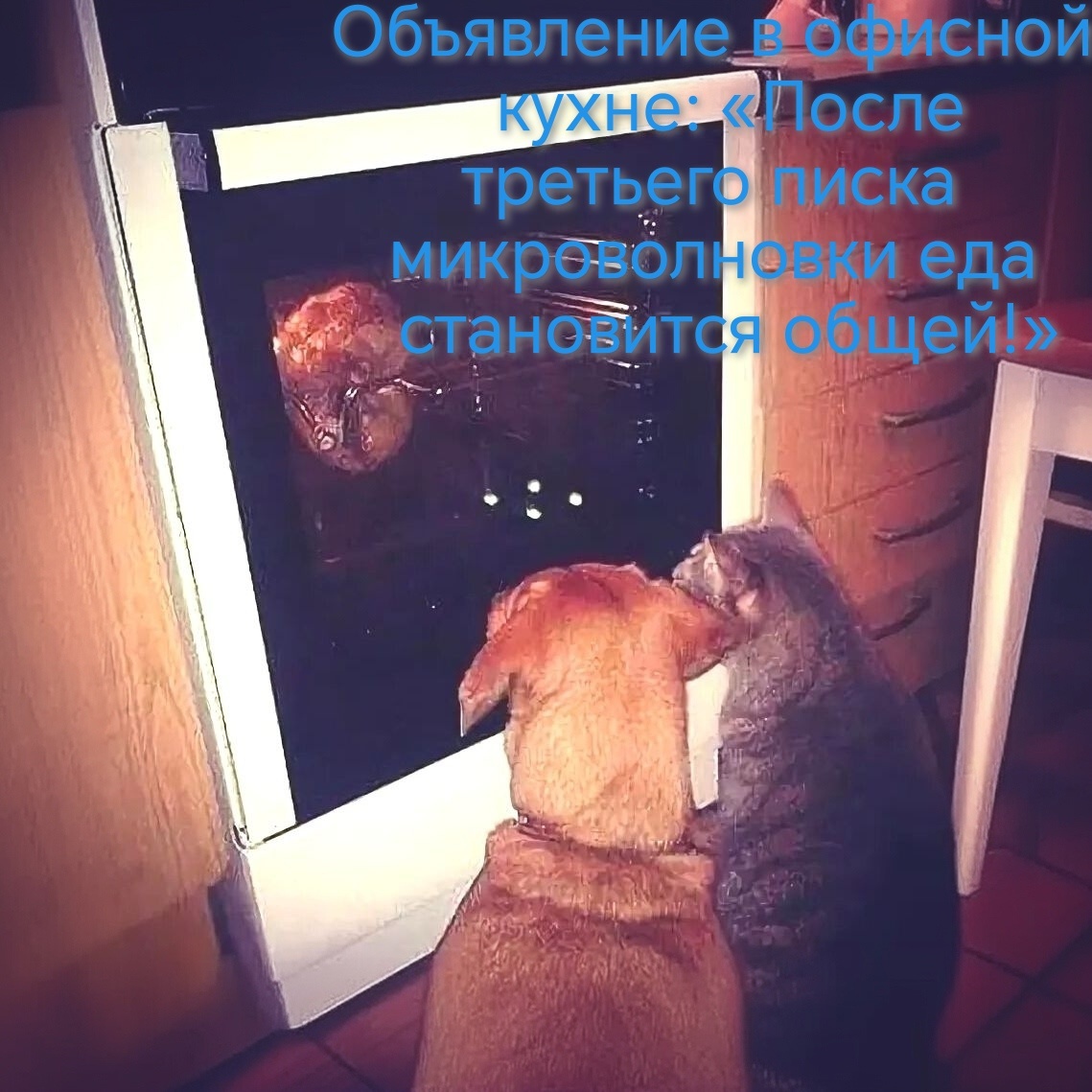 Фото из интернета в обработке автора