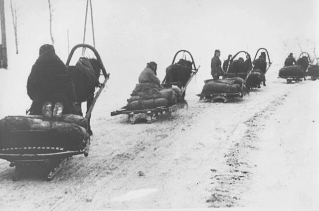    Обоз с хлебом для фронта. Фото: Центральный Государственный архив Кировской области