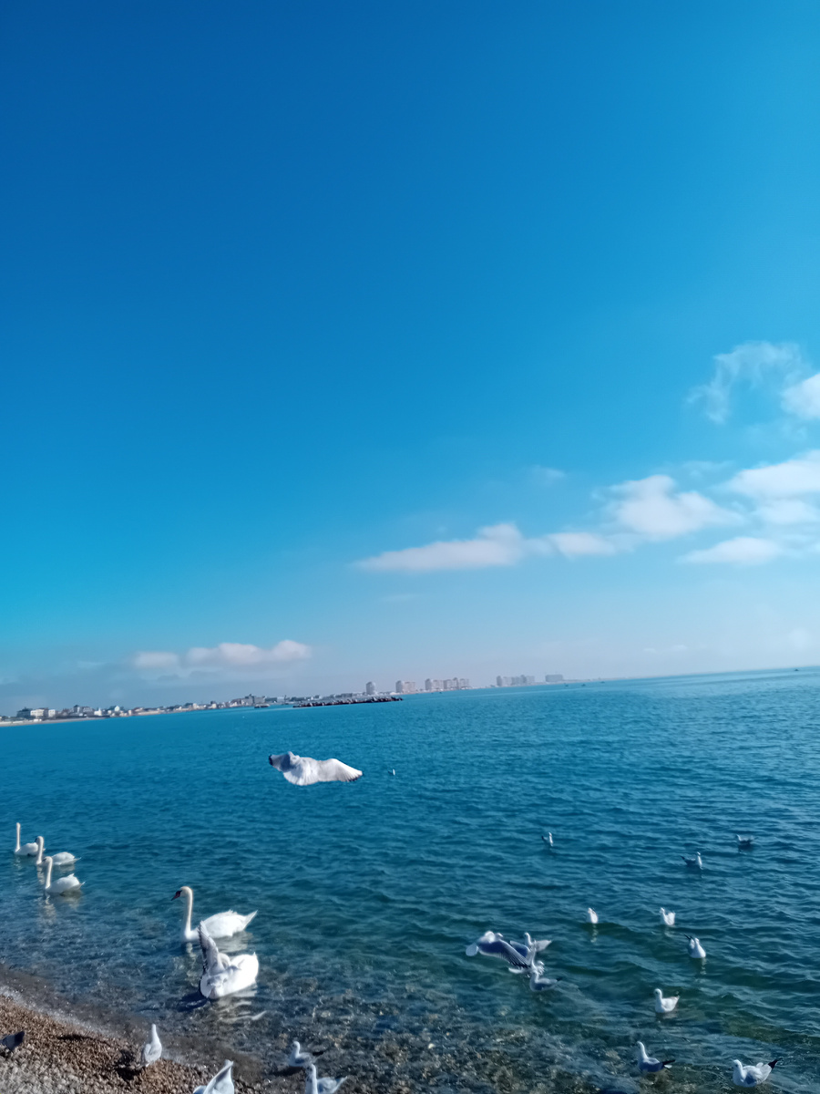 Авторское фото.