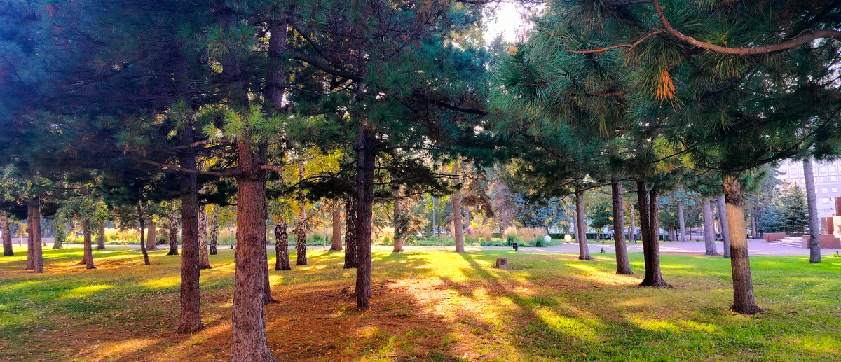 Просто встретились два одиночества, развели у дороги костёр... Ф. Лаубе