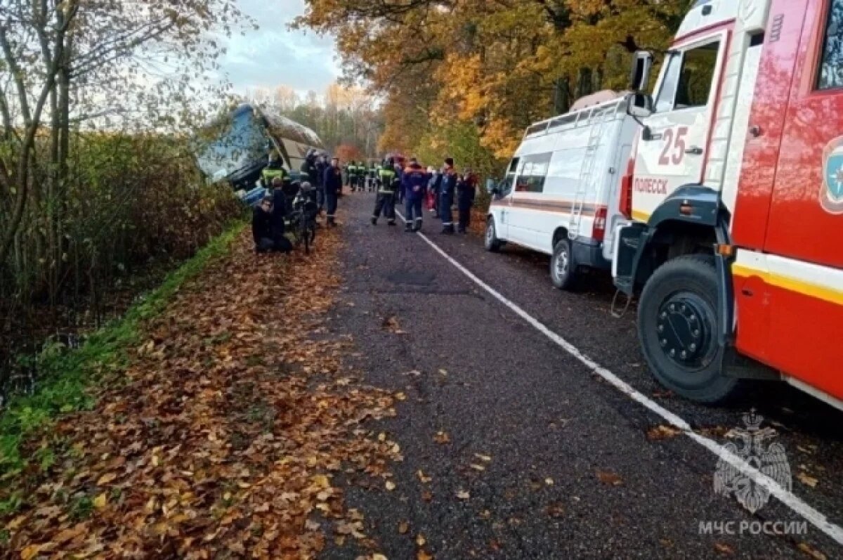    40 туристов спасено из свалившегося в кювет автобуса под Калининградом