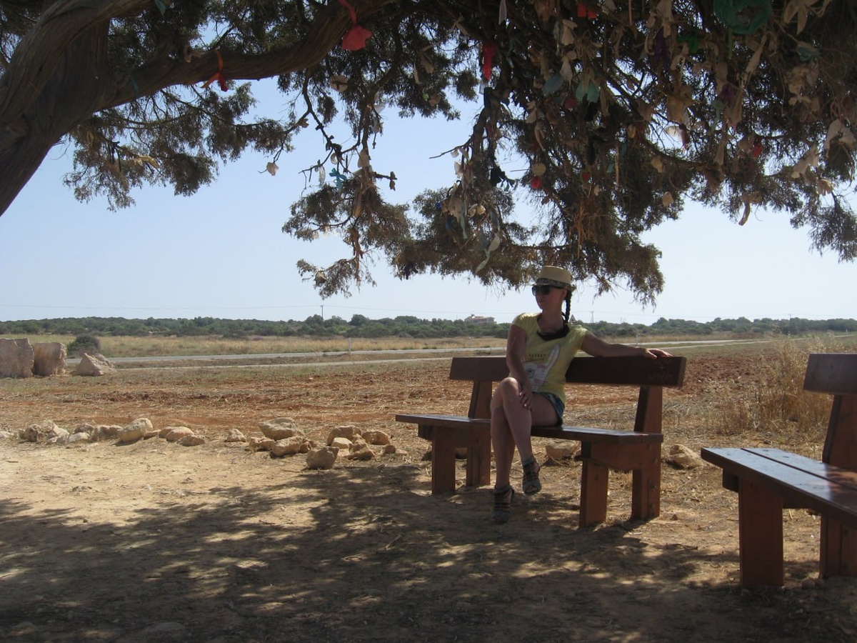 Атмосфера фото передаёт настроение этой статьи