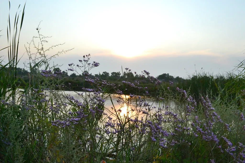 Дагестан - не только страна гор, но и равнин...