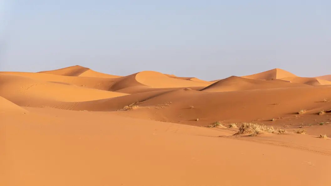    © Zoonar.com/imagoDens/Globallookpress