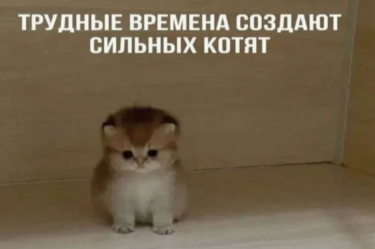 источник Яндекс-картинки