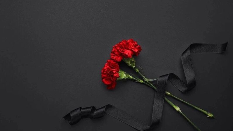    Фото: Pixel-Shot / Shutterstock / Fotodom