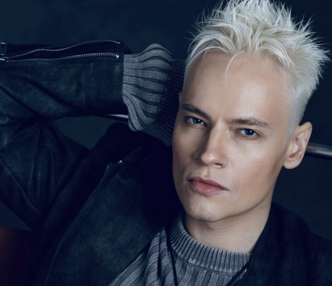 Наш слон. А вокруг - стаи мосек. Из интернета 