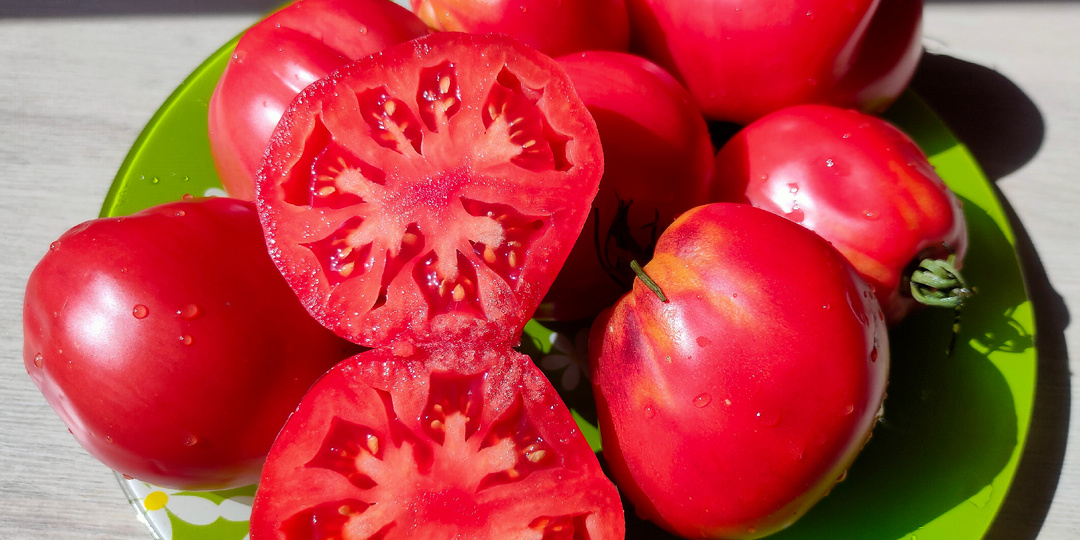 Лучшии сорта томатов сезона 2025-2026( часть 3)