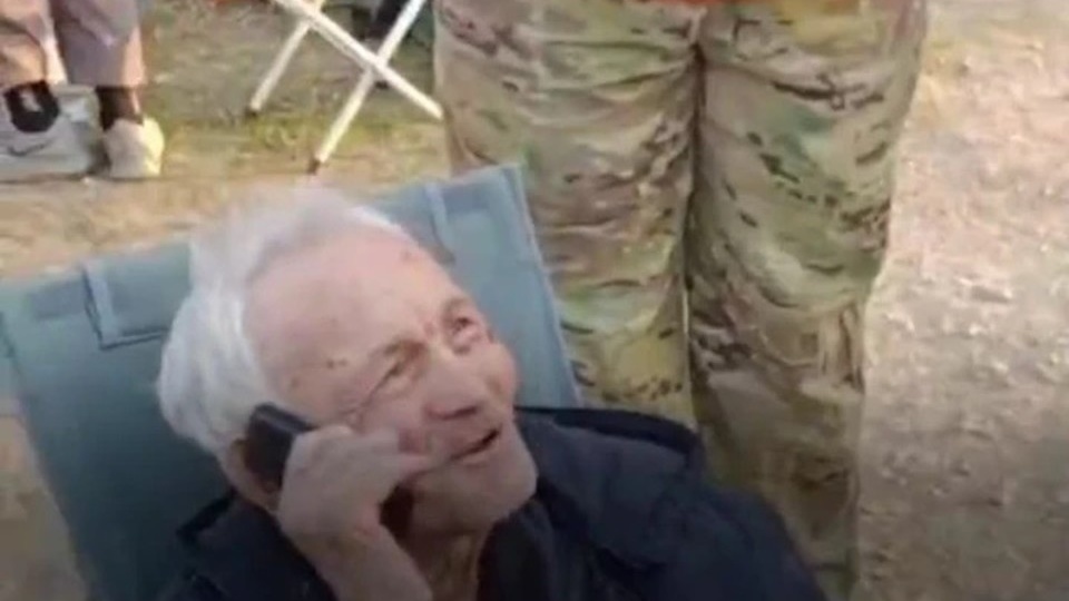 Бродячая собака спасала 92-летнего дедушку, три дня блуждавшего в лесу под Анапой