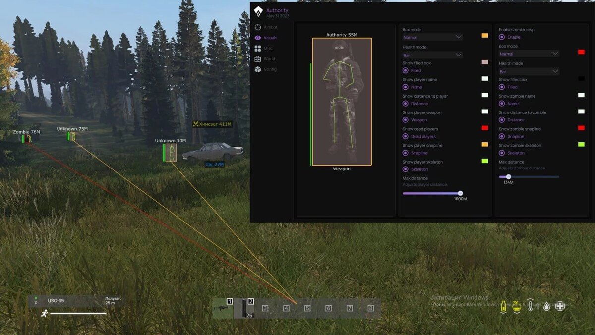 Скрин софта для Dayz