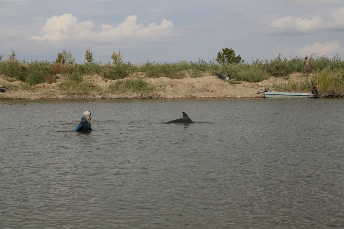 река Бейсуг, Краснодарский край