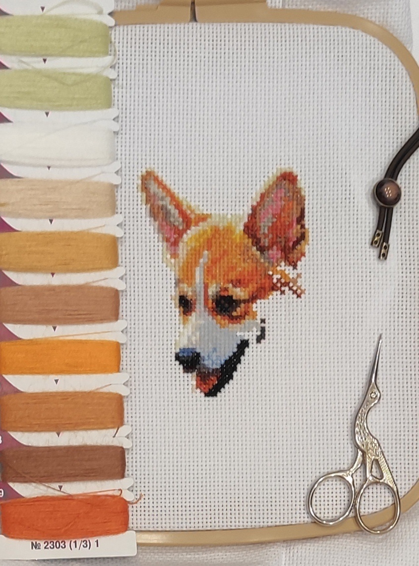 Вот так подрос луи