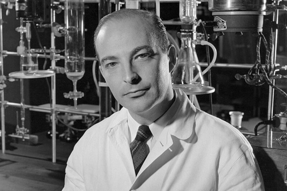   общественное достояние