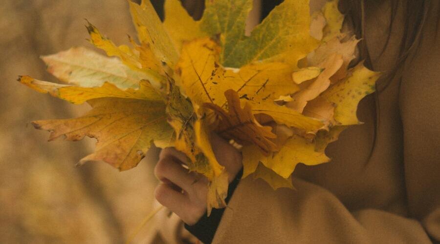    Как появился славянский «бог осени» Авсень? Фото: Alex Gagareen on Unsplash