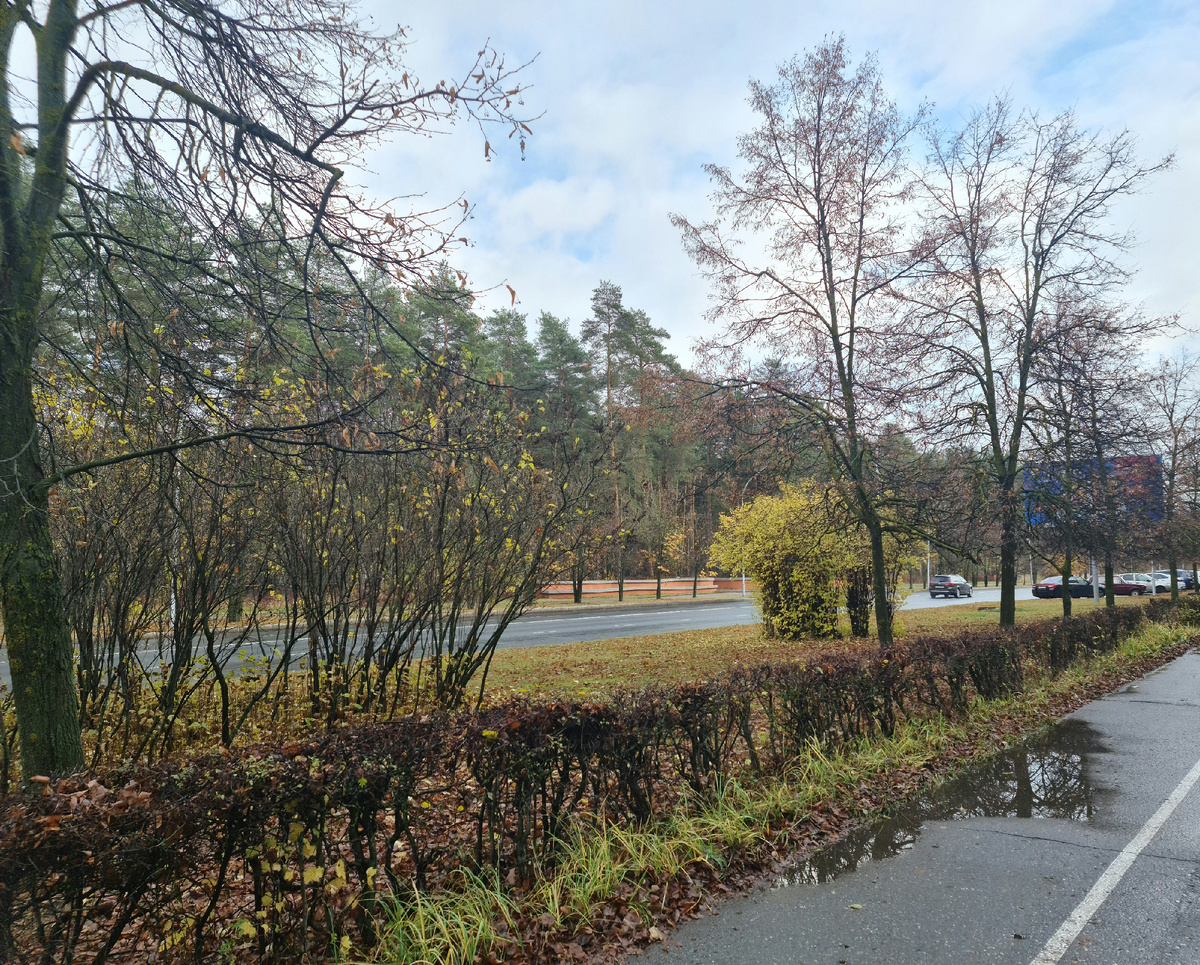 Осенью тоже бывает хорошая погода, чтобы пойти и наслаждаться всей атмосферой