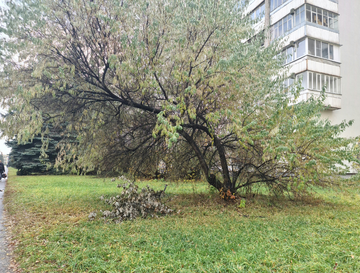 Всех не тех затопим дождливыми и ливневыми топ чартами прямо здесь под осенним небом. Погода все обратно отправит всем кто что-то не так сделал