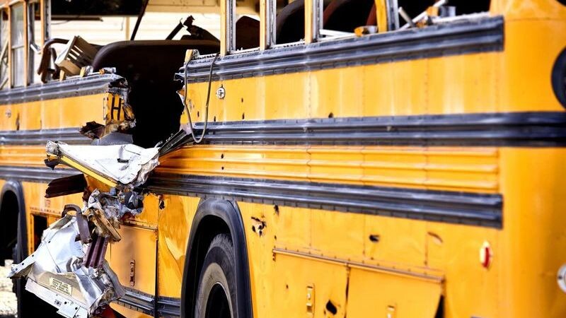    Фото: ja-images / Shutterstock / Fotodom