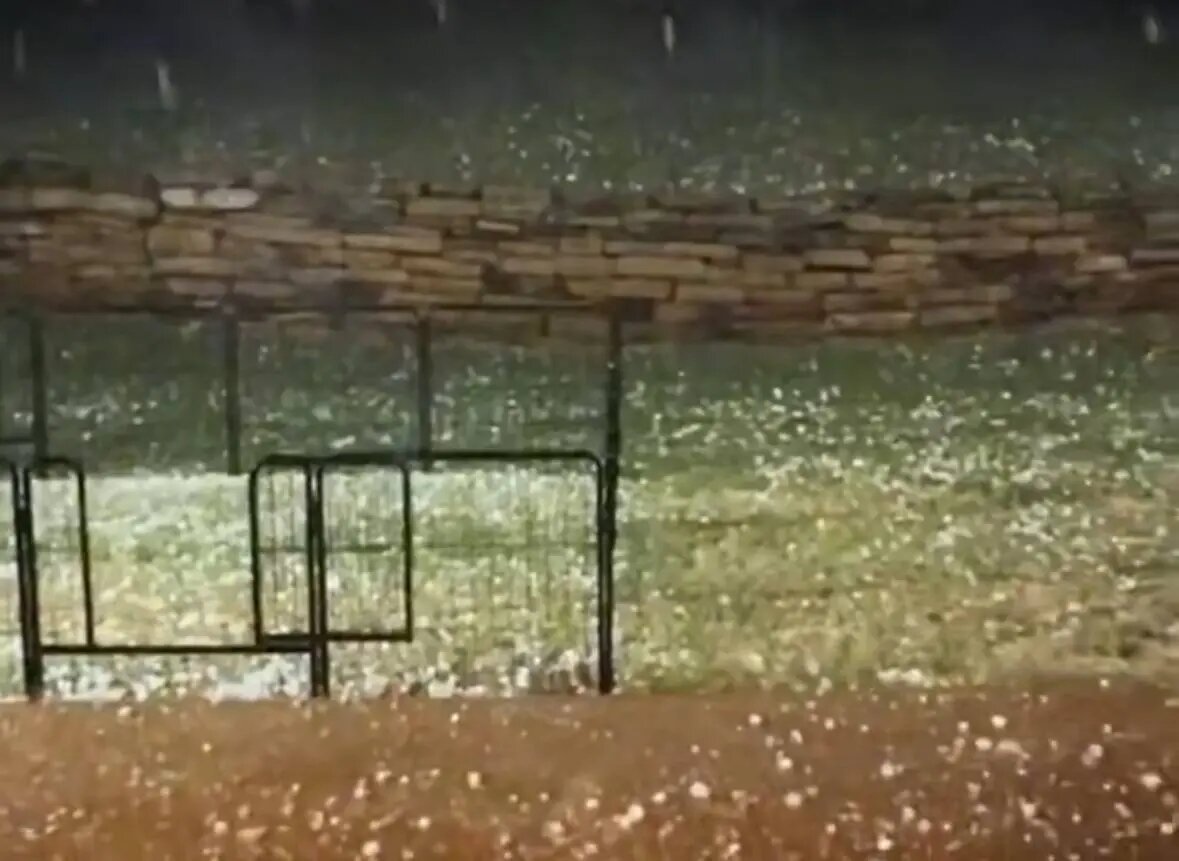    Фото: скриншот видео из соцсетей