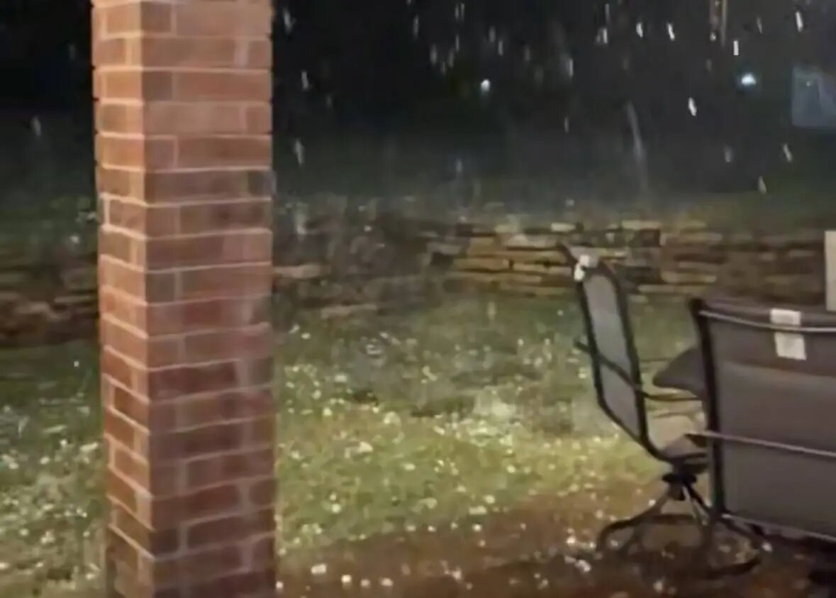    Фото: скриншот видео из соцсетей