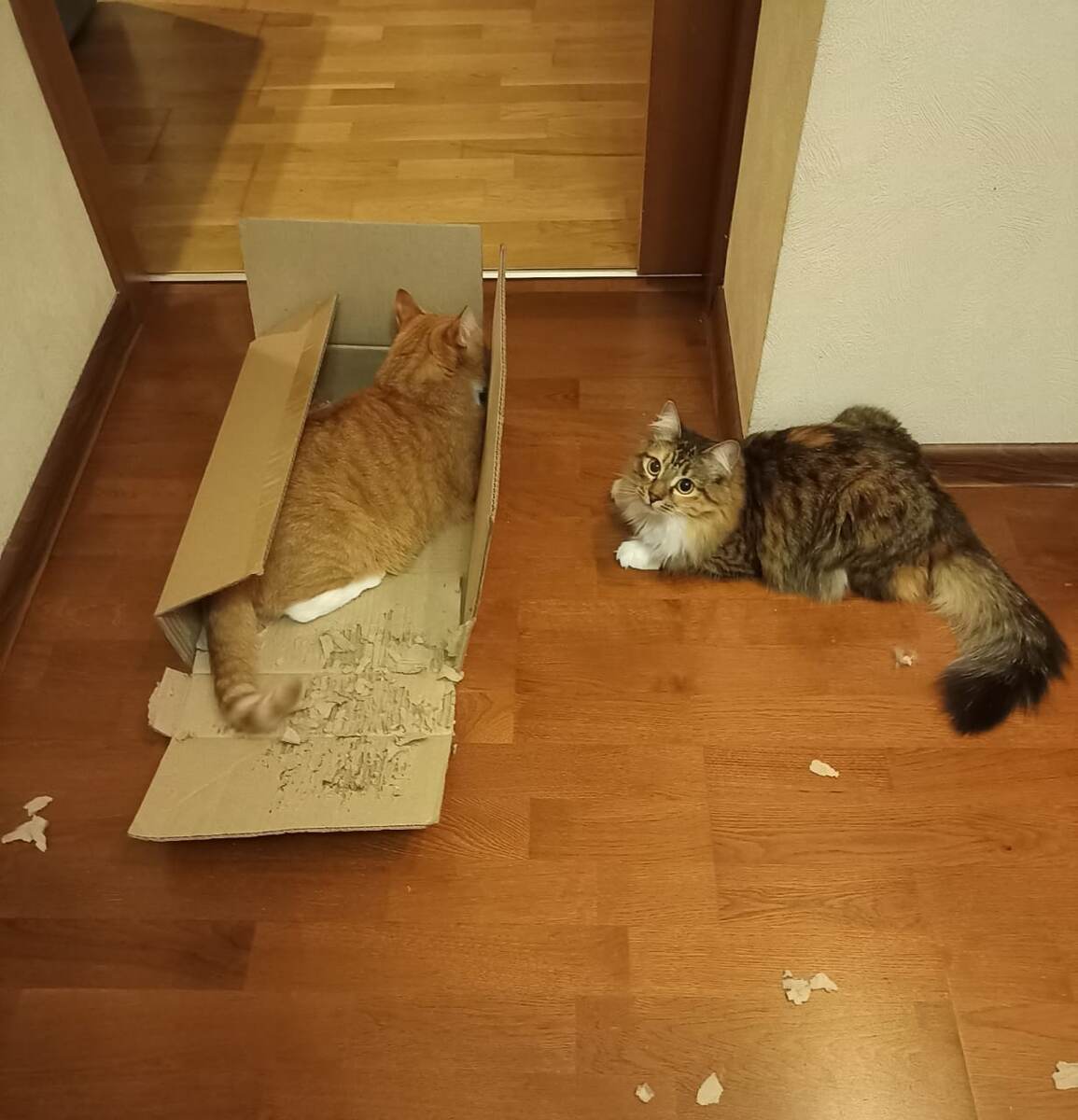 Теже действующие лица и коробка)) 