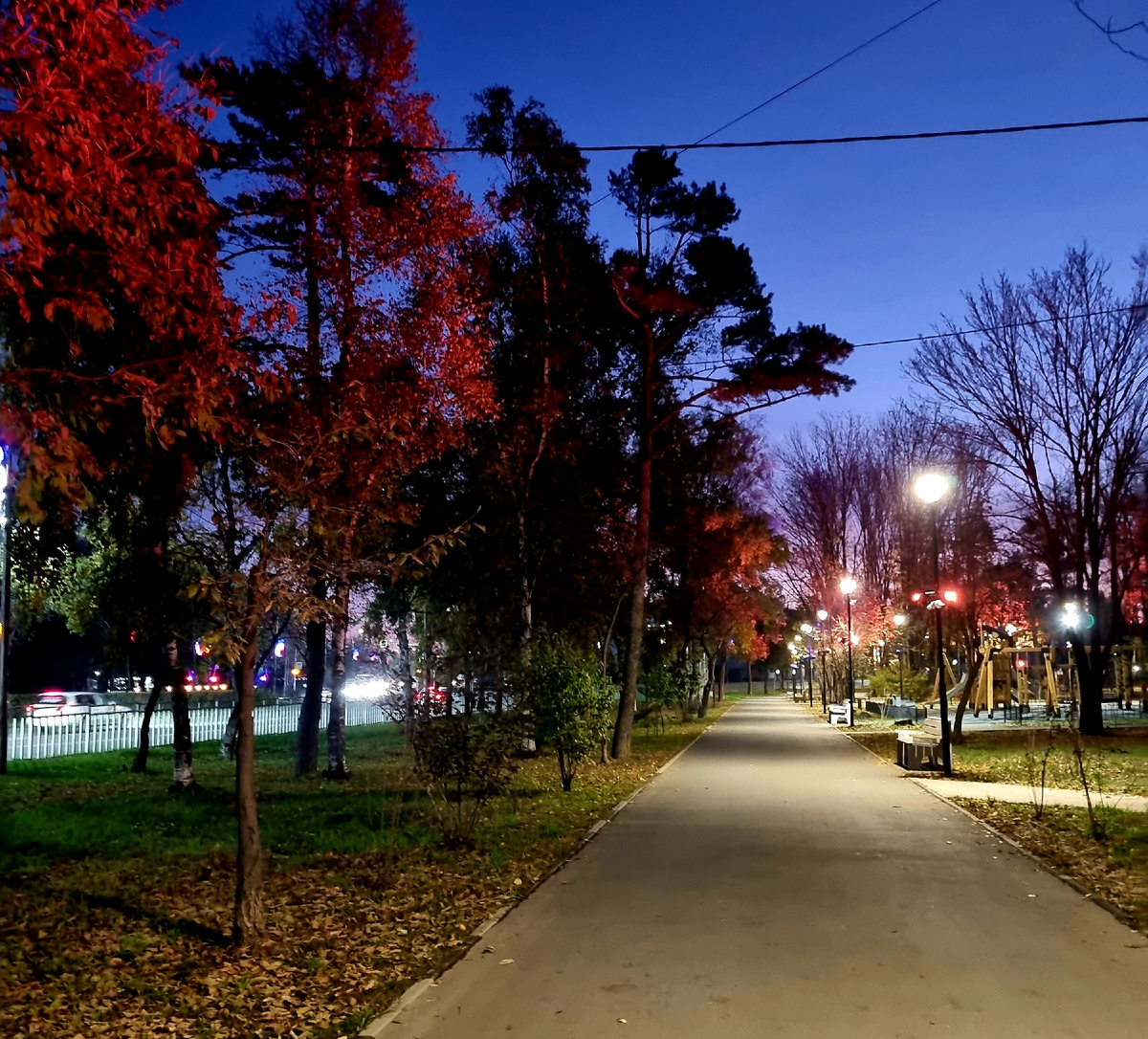 Мои утренние прогулки.