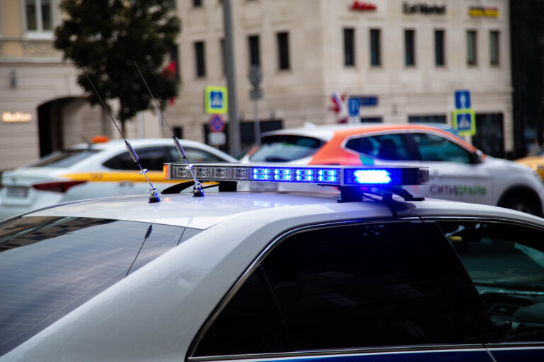    Фото: Общественная Служба Новостей Анастасия Мишкина