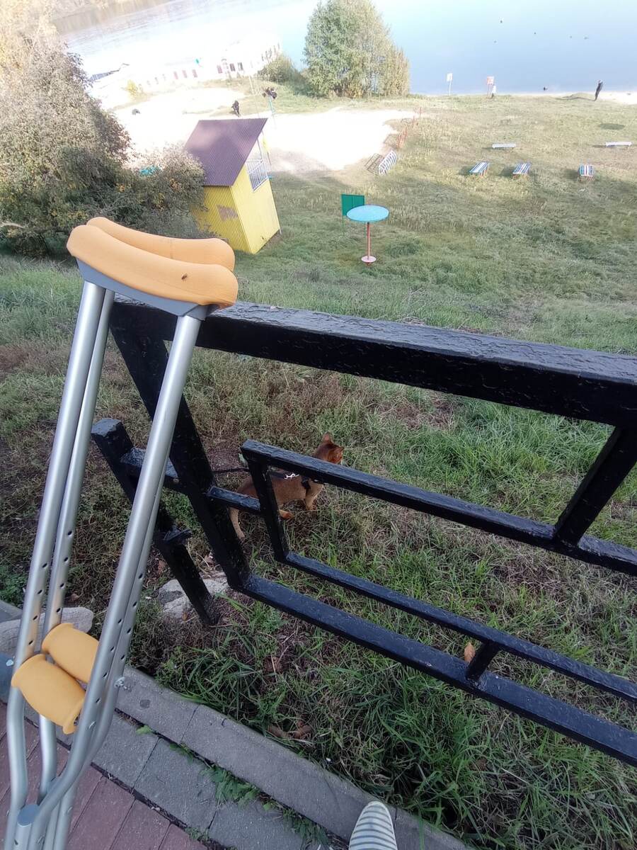 А рядом костыли