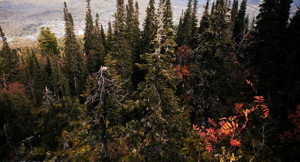    Anastasia Sorgina/URA.RU / www.globallookpress.com