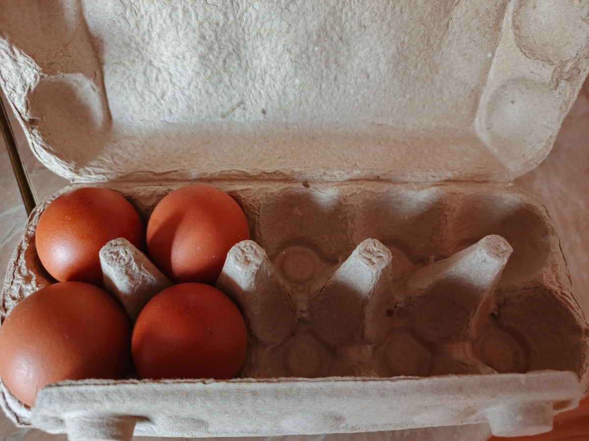    Раскрыт секрет правильного употребления яиц для максимальной пользы вашего организма