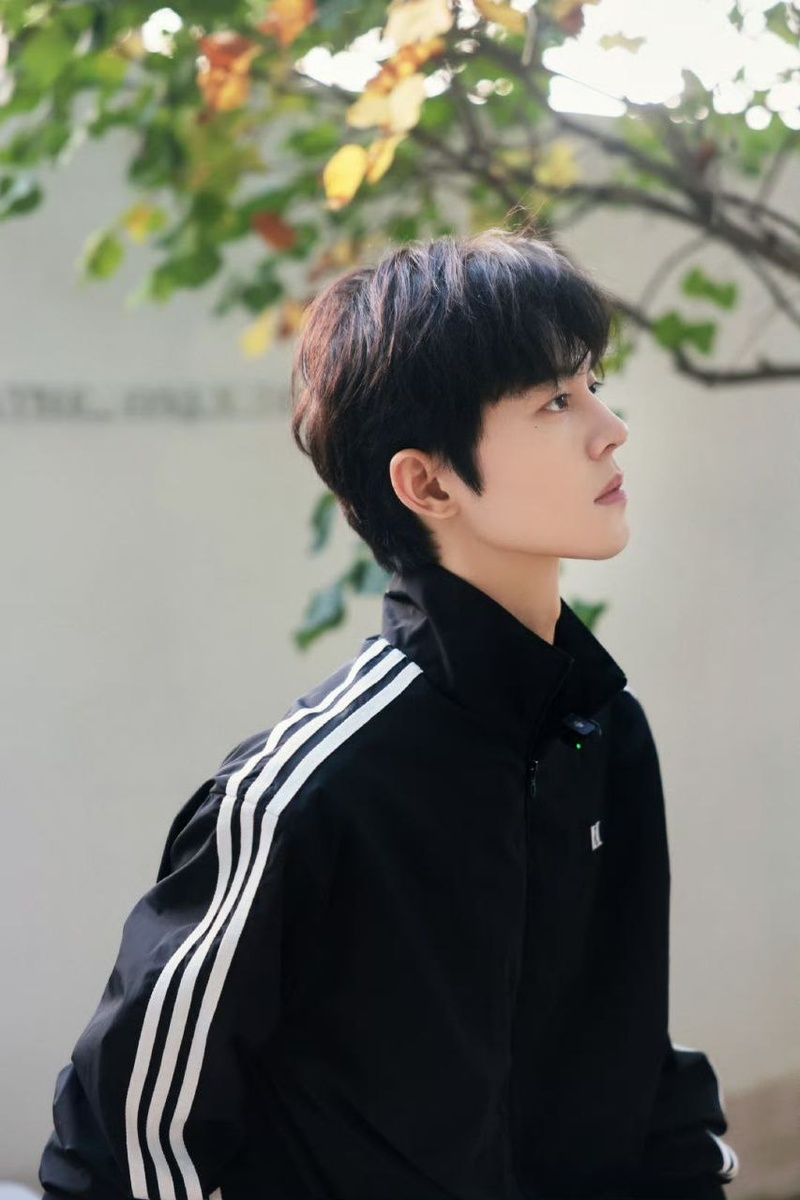 Се Биньбинь. Листайте галерею...