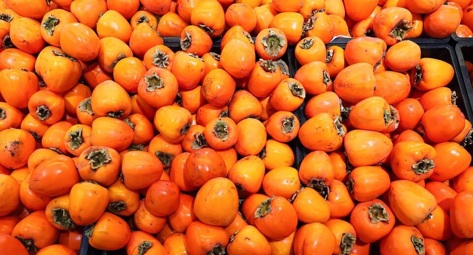    Razmik Zackaryan/URA.RU / www.globallookpress.com